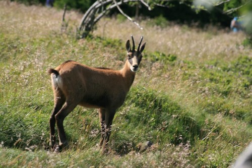 rencontres vosges